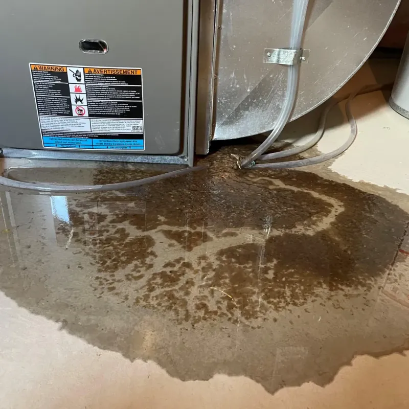 Appliance Leak Cleanup in Polk County, TN